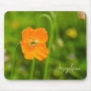 Recherche de fleur orange tapis souris Botanique