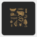Search for vintage frog stickers Goblincore