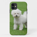 Search for bichon frise iphone cases Dog