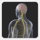 Recherche de interne autocollants Illustration