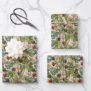 Search for botany wrapping paper Bird of paradise