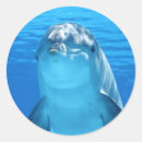 Search for happy dolphin stickers Ocean