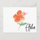 Recherche de hibiscus cartes postales Mignon