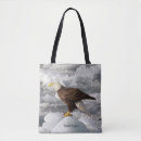 Search for balding bags Bald eagle