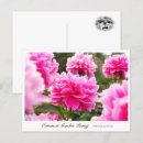 Search for common stamps postcards Flower