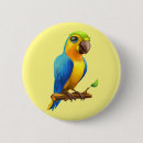 Search for parrot buttons Birds