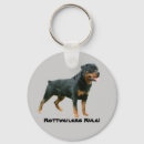 Recherche de chien de rottweiler porteclés Chiots