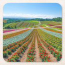 Search for farm coasters Nature