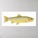 Search for coastal posters Salmon