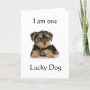 Search for wishes for brother birthday cards Sister