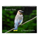 Recherche de oiseau calendriers Oiseaux chanteurs