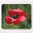 Recherche de seulement tapis souris Floral