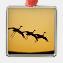 Search for land ornaments National