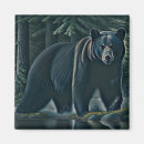 Search for captivating magnets Bear