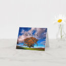 Recherche de chênes photographie Arbre