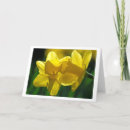 Recherche de thinking of you cards Flower