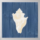 Search for vintage shell posters Blue