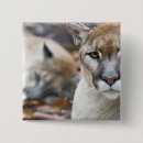 Search for puma buttons Predator