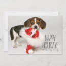 Search for beagle puppies cards Animal