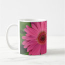 Recherche de germ tasses Floral