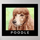 Search for pet portraits Watercolor