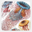 Recherche de tentacules autocollants Méduse