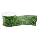 Recherche de herbes rubans Vert