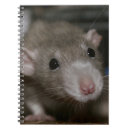 Search for write photography Animal