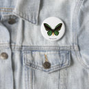 Search for butterfly pictures buttons Animals