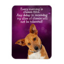 Recherche de chien drôle magnets Amoureux des chiens