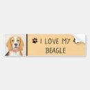 Search for beagle bumper stickers Dog