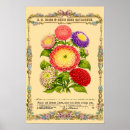 Search for botanical flowers posters Kitchen