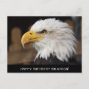 Recherche de aigle chauve Anniversaire