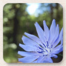 Search for commons barware Blue