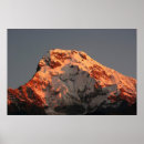 Search for mountains in clouds posters Golden