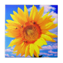 Recherche de de tournesol carreaux Abeille