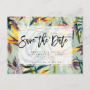 Recherche de oiseau exotique invitations Été