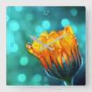 Recherche de marigold horloges Bleu