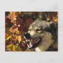 Search for headshot postcards Horizontal