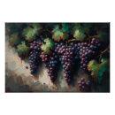 Recherche de fruit de la vigne posters Violet