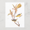 Search for tiny small postcards Garden