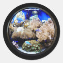 Search for aquarium stickers Blue