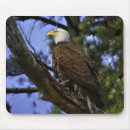 Search for gel mouse mousepads Nature