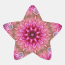 Search for kaleidoscope mandala stickers Pink