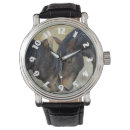 Search for horse watches Equine