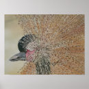 Search for crane bird posters Watercolor