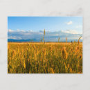 Search for sunrays postcards Sky