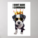 Search for funny posters Meme