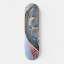 Recherche de ferme skateboards Rural