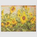 Recherche de sunflower tissue paper Tournesol
